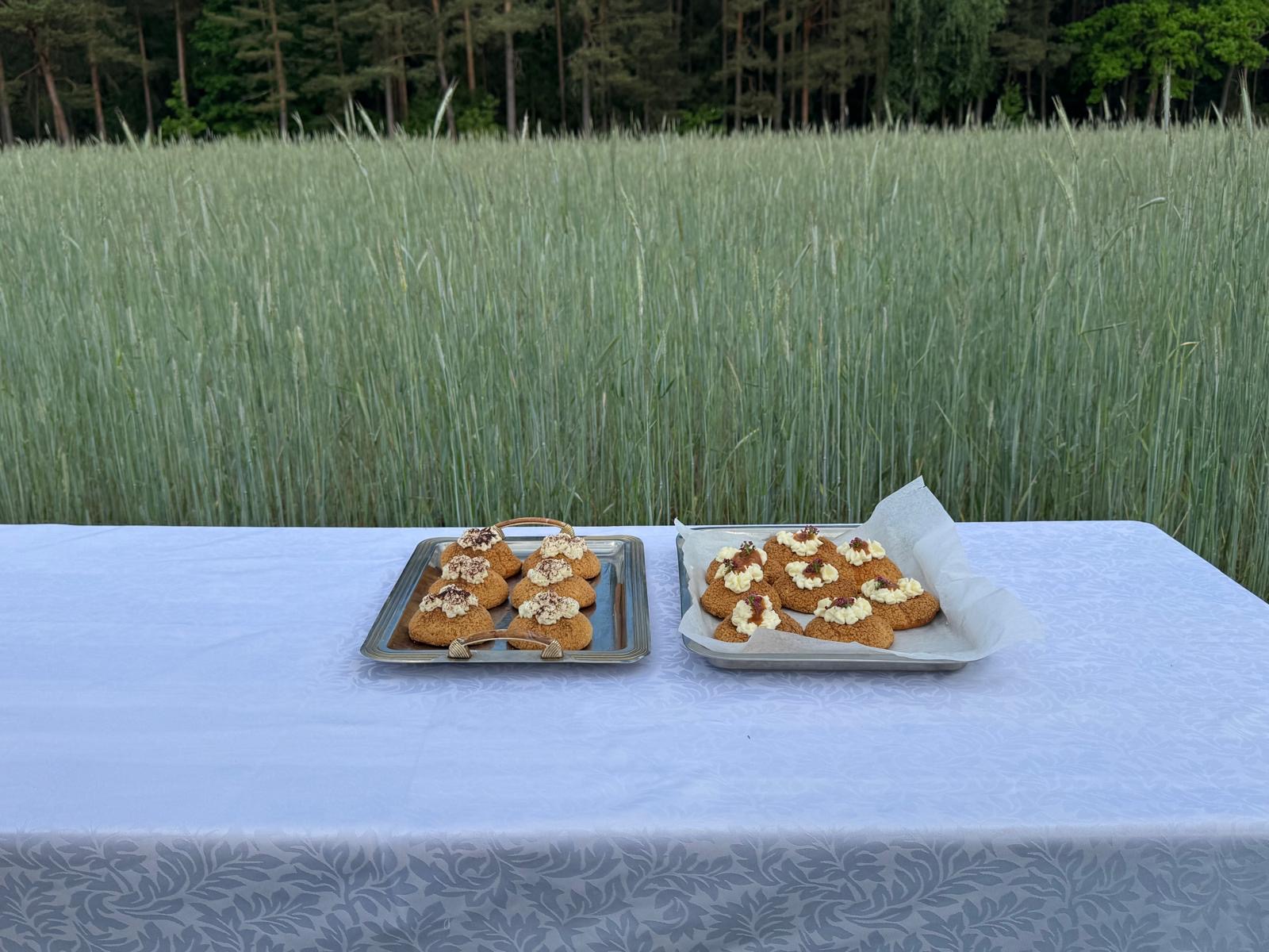 Desserts arranged on a table in a field
